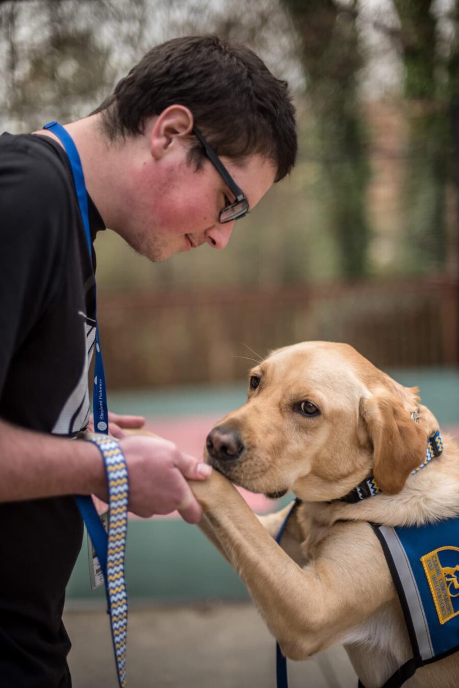 A man wearing glasses and a lanyard interacts affectionately with a yellow Labrador in a service vest. They are outdoors, framed by blurred trees. The dog gently places its paw in the man's hand.